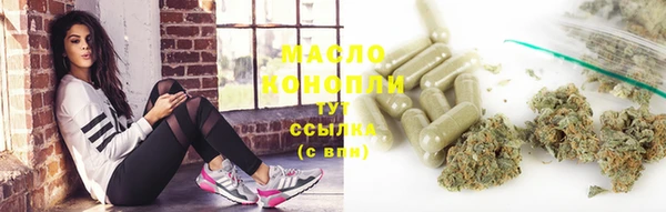 мет Дмитриев