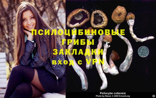 гидра Дмитровск