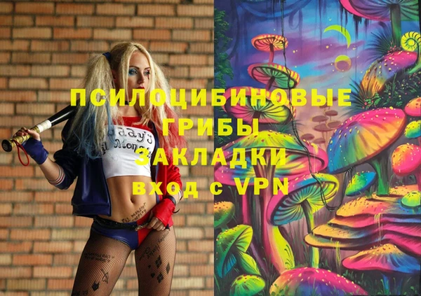 гидра Дмитровск