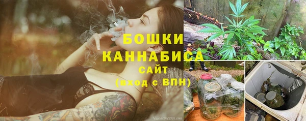 гидра Дмитровск