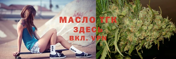 мет Дмитриев