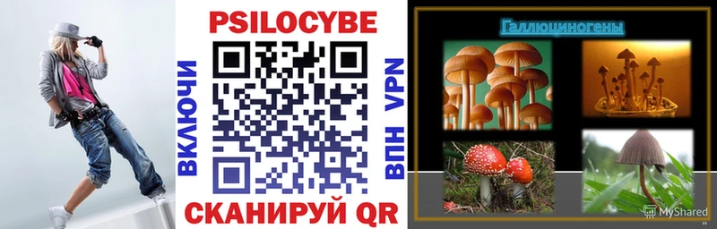 Галлюциногенные грибы Psilocybe  закладки  Евпатория 