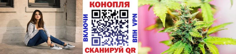Шишки марихуана планчик  где купить наркотик  Евпатория 